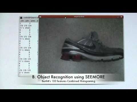 Object Recognition using SIFT and SEEMORE