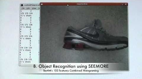 Object Recognition using SIFT and SEEMORE