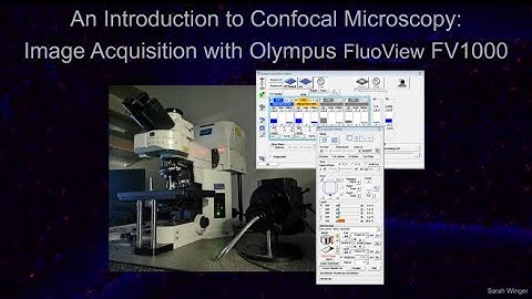 Introduction to the Olympus FluoView FV1000 Confocal Laser Scanning Software