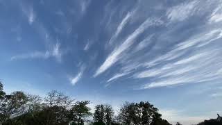 Gimmie Liang引光喚雲2020033002