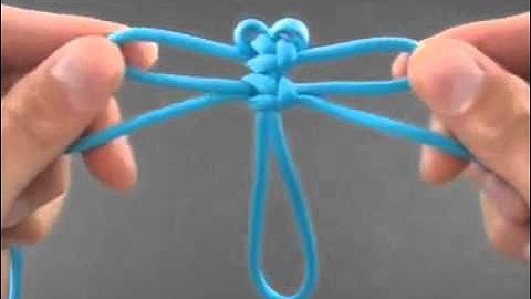 TDDX Nút dây Con Chuồn Chuồn