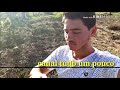 LOUVADEUS DO MARROM