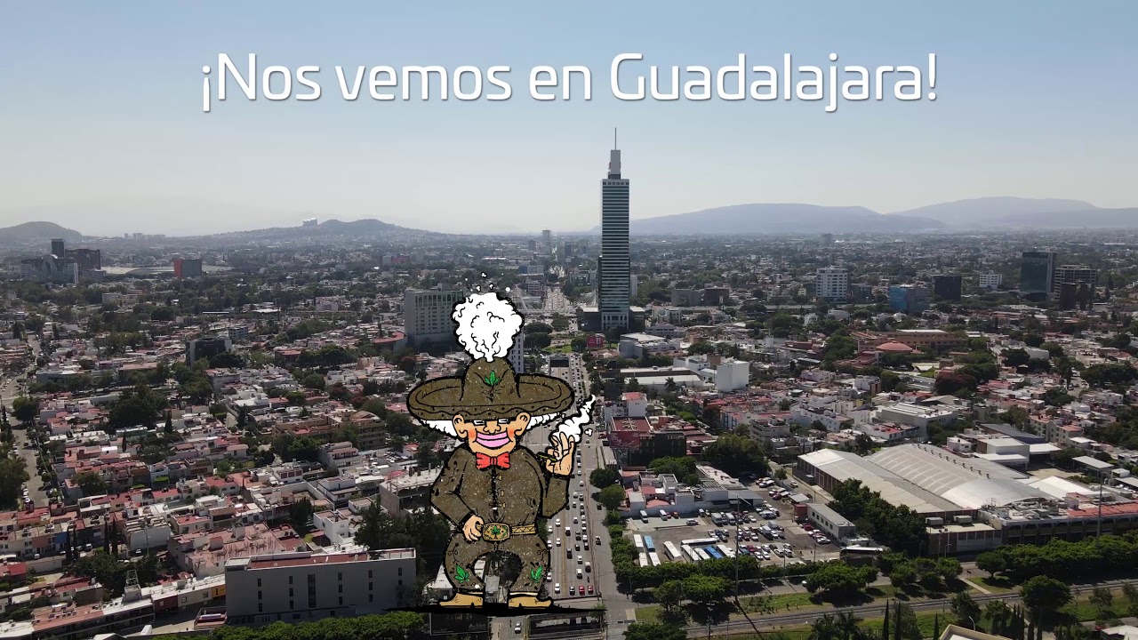Bienvenidos a Guadalajara - 2020 - Jalisco Cannabis Cup