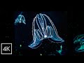 Sleep & Relaxation｜Drifting Jellyfish in the Deep Sea｜8hr 4K Light & Silence｜ASMR
