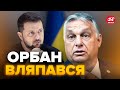 😱Орбан після зустрічі із Зеленський видав новий МАРАЗМ! СЛУХАЙТЕ, що каже