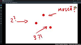Construct 2 - Musca AI