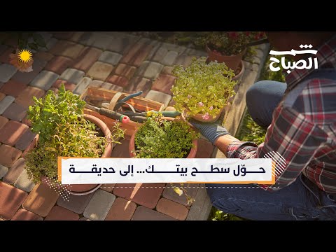 شمس الصباح كيف تحو ل سطح بيتك إلى واحة خضراء منت جة