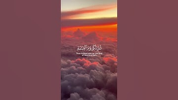 ما تيسر من سورة الزمر | القرآن الكريم | القارئ ماهر المعيقلي
