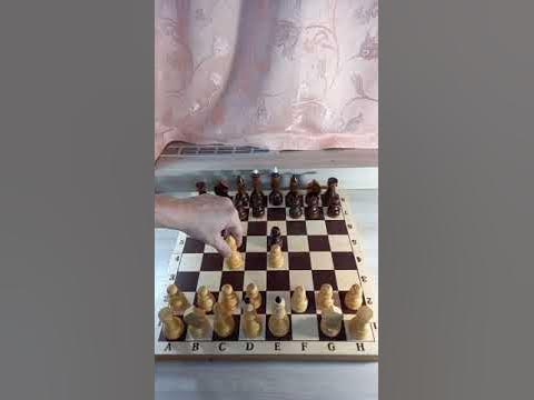 Шахматы. Легендарный мат Легаля. #шахматырулят - YouTube