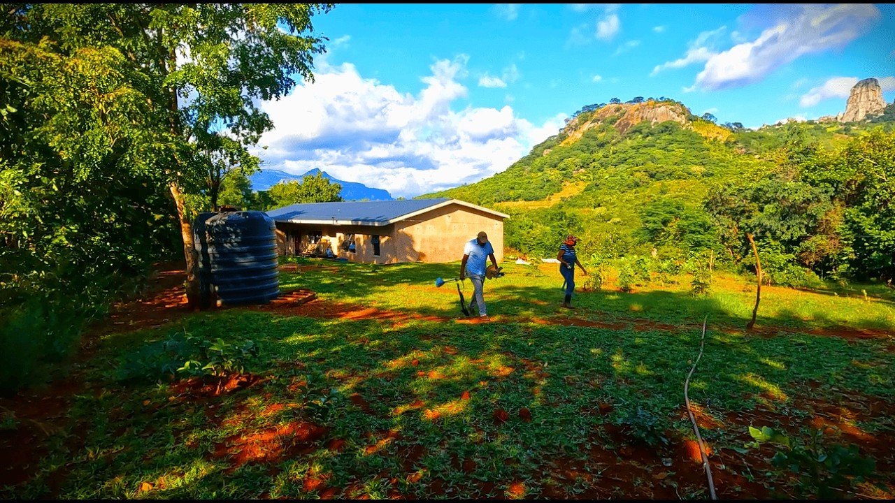 #35 Chickens. More water. Rural homesteading in Zimbabwe