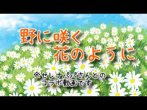 ダ・カーポ／野に咲く花のように【うたスキ動画】