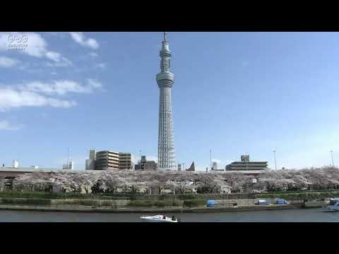 【歌ってみた】GReeeeN 遥か