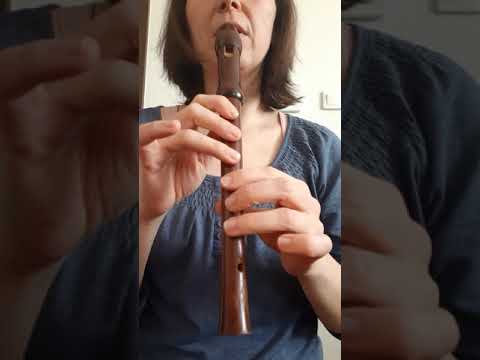 Video: Ako položíte prsty na flautu?