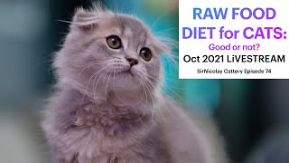 Raw Food Diet for Cats--Good or Not? by James Nicolay 1,411 views 2 years ago 33 minutes