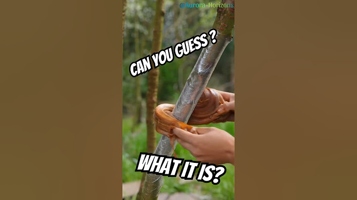 Can you guess what he's making?
