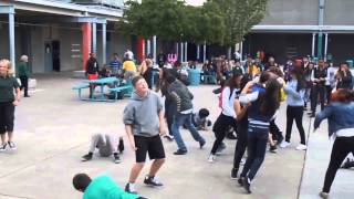 PMS Harlem Shake