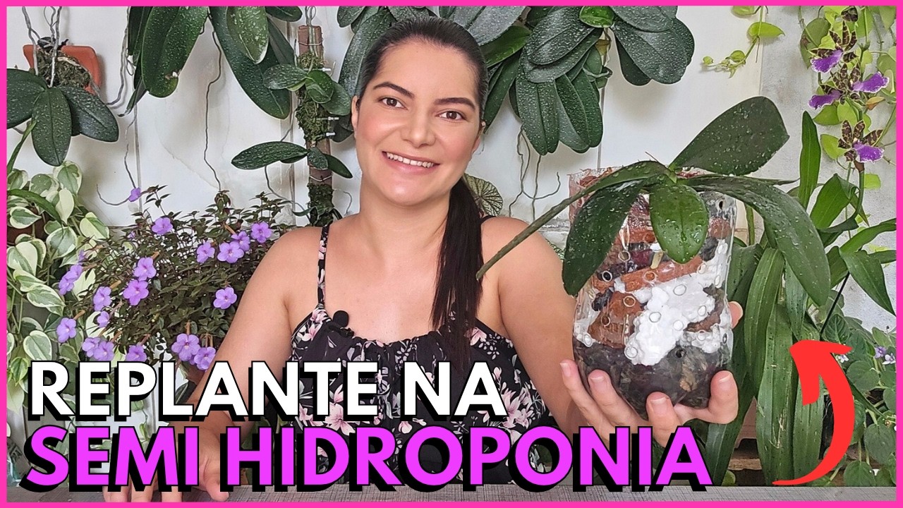 VALE A PENA PLANTAR ORQUÍDEA PHALAENOPSIS NA SEMI HIDROPONIA DE GARRAFA PET☝️🌸🥰