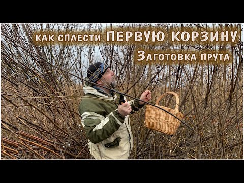 Как сплести ПЕРВУЮ КОРЗИНУ из ивовых прутьев. Заготовка ивового прута - он рядом.