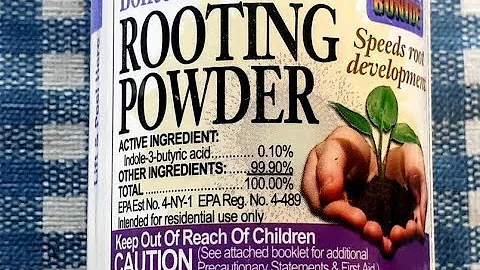 Maximize Root Growth with Proper Use of Rooting Powder