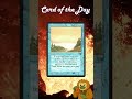 Gibbon's Card of the Day | Episode 11 | Land Equilibrium | #MTG #MagicTheGathering