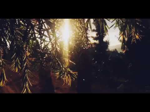 Walking Around Mbeya City