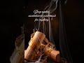White Oud  | Unisex Perfume | Long Lasting | Jdass
