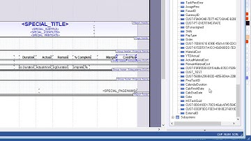 Custom Fields In Reports