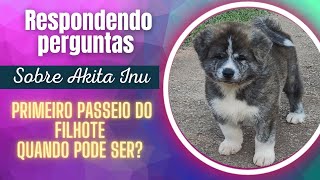 QUANDO POSSO PASSEAR COM MEU FILHOTE? | PASSEIO SEGURO | DICAS DE COMO PASSEAR COM CACHORRO by Akita Inu Canil Hidetaka's 1,411 views 1 year ago 18 minutes