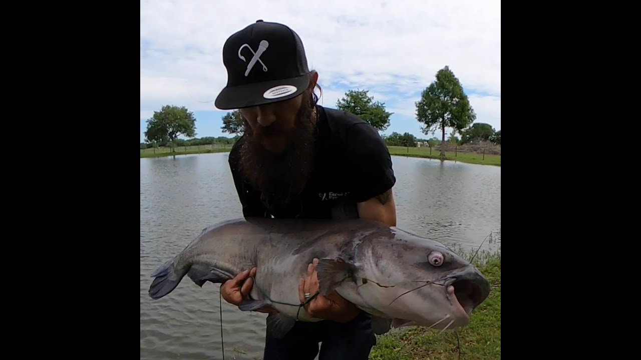 LARGEST TEXAS BLUE CATFISH EVER CAUGHT AND RELEASED ON FILM!! YouTube