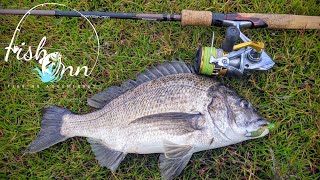 Land Based Bream And Estuary Perch