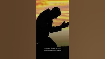 تلاوة القرآن بصوت جميل ومؤثرة #تلاوة_خاشعة #القرآن_الكريم #السعودية #الكويت #العراق #المغرب #الجزائر