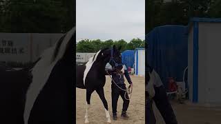 You Shine And Grow The Way You Train