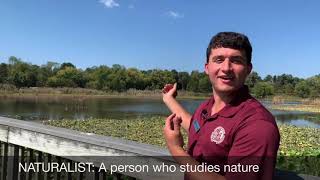 Nature Detectives  My Neighborhood Habitat
