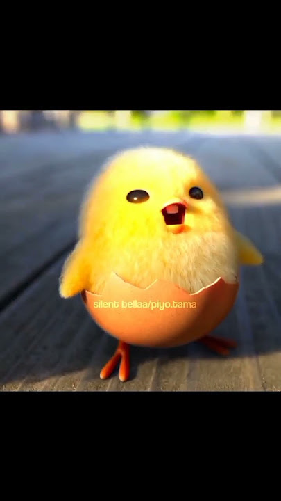 gudetama's ending #shakipiyo #gudetama #sanrio #gudetamathelazyegg #piyo #netflix