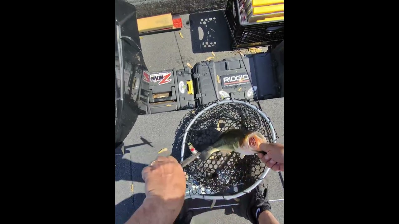 Bass fishing Top water bite is on 5-10-25