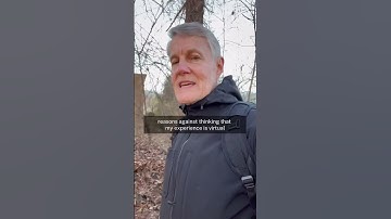 Socratic Stroll 55: Is my reality a deepfake?