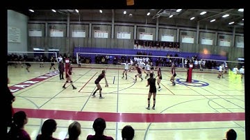 SoloStats, WebReports, SoloStatsVideo Demo