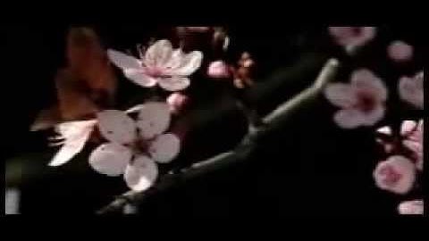 ما تيسر من سورة الأنعام (1-24) الشيخ مصطفى الفرجاني .FLV