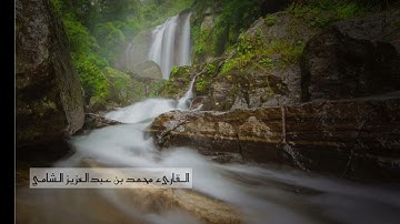 ما تيسر من سورة مريم للقارئ محمد عبدالعزيز الشامي، من صلاة التراويح - رمضان ١٤٤٤ هـ