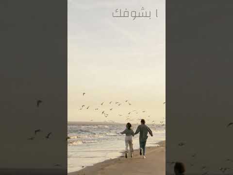 وائل جسار 100 احساس جديد 2025