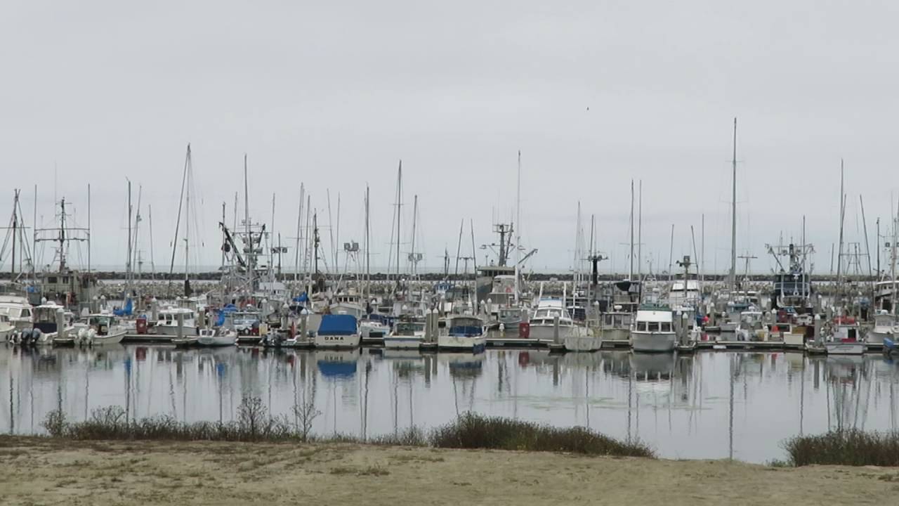 PrincetonbytheSea, California YouTube