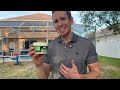 Reviewing Hemp Calming Chews for Dogs - 170 Dog Calming Chews - Anxiety Relief Treats