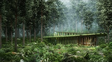 【lumion animation 】Forest house