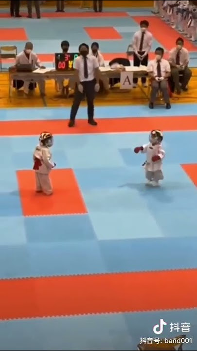 可爱空手道小子             Cute Karate Kids