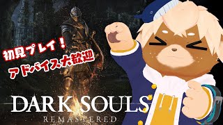 【ダークソウルリマスター】怖いもの苦手でもダクソならプレイできる説 #11