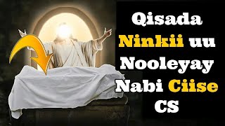 Qisada Ninkii uu Nabi Ciisa Nooleeyay idinka Eebbe | Ninku Markuu Soo Kacay Muxuu Sheegay?