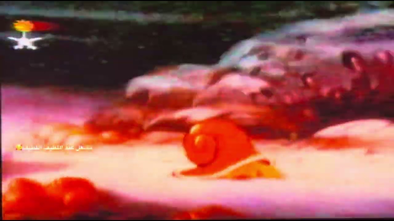 كرتون في الذاكرة تاريخ التسجيل ١٤١٢هجري 😭