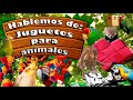 Juguetes para animales | Hablemos de: Enriquecimientos Ambientales