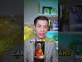 AI Is Here: Get Wealthy or Get Replaced