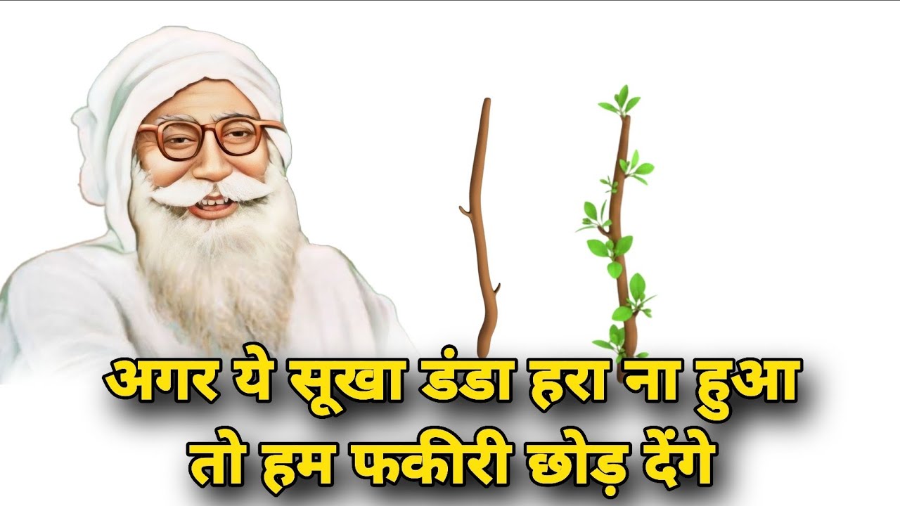 Dera Sacha Sauda Videos||Dera Sacha Sauda Ke Krishme||शाह मस्ताना जी वीडियो ||Saccha Sauda Videos 